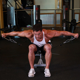 Cable Seated Lateral Raise