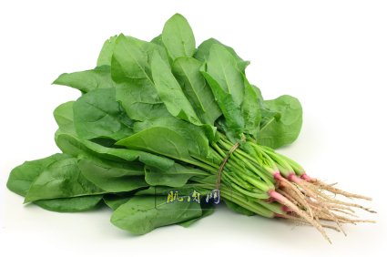 English_Spinach__67562