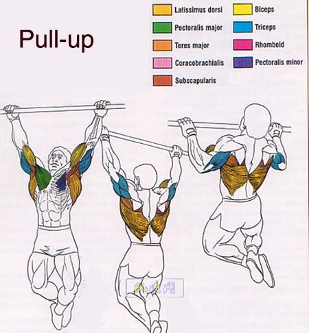 pull-up