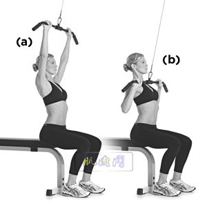 lat pulldown